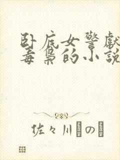 卧底女警献身大毒枭的小说