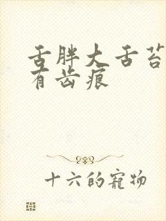 舌胖大舌苔厚黄有齿痕