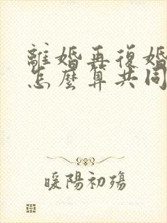 离婚再复婚财产怎么算共同财产的