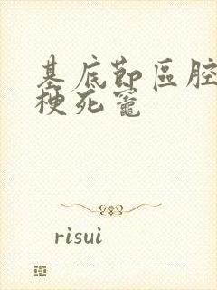 基底节区腔隙性梗死灶