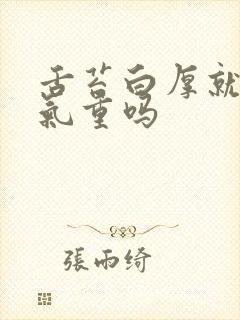 舌苔白厚就是湿气重吗