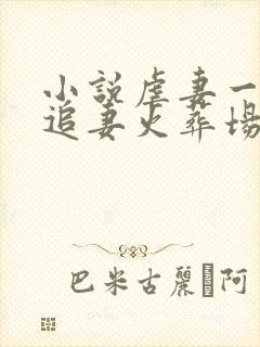 小说虐妻一时爽追妻火葬场封面