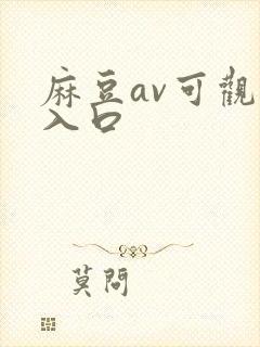 麻豆av可观看入口