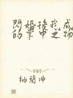 闪婚后我成大佬的掌中之物