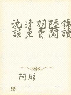 沈清羽陆锦容小说免费阅读最新章节