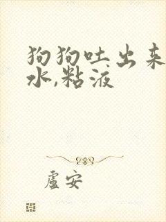 狗狗吐出来的黄水,粘液封面