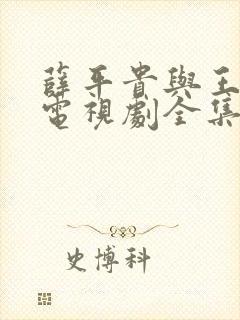 薛平贵与王宝钏电视剧全集免费看