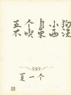 五个月小狗呕吐不吃东西没精神怎么办