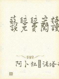 苏皎皎宋持的小说免费阅读封面