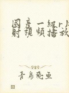 国产一级r片内射视频播放