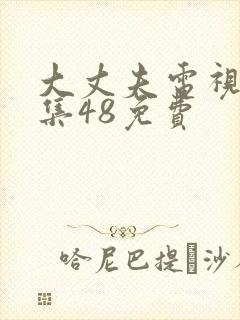 大丈夫电视剧全集48免费封面