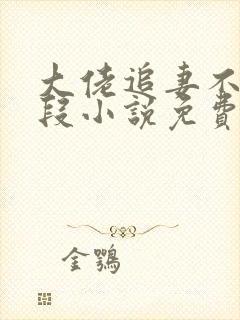 大佬追妻不择手段小说免费无弹窗