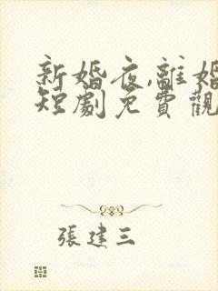 新婚夜,离婚时短剧免费观看全集