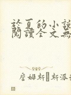 于夏的小说免费阅读全文无弹窗