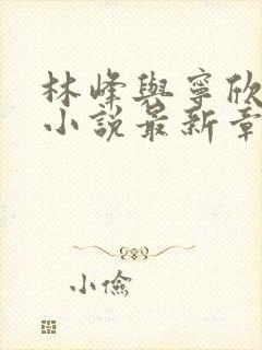 林峰与宁欣正版小说最新章节封面