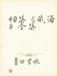 40集《藏海传》全集封面