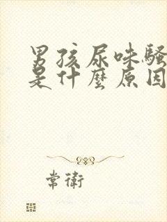 男孩尿味骚气大是什么原因封面