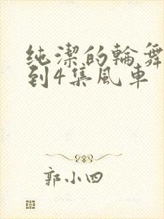 纯洁的轮舞曲1到4集风车