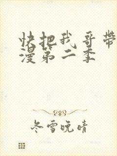 快把我哥带走动漫第二季