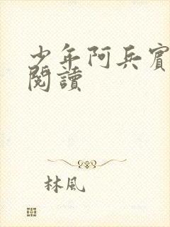 少年阿兵宾小说阅读