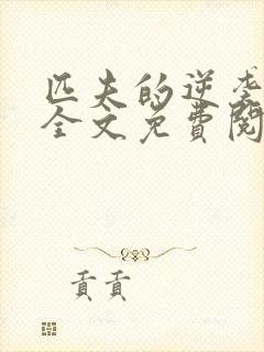 匹夫的逆袭小说全文免费阅读全文