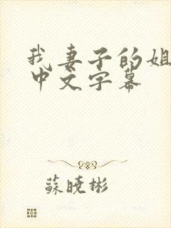 我妻子的姐姐3中文字幕