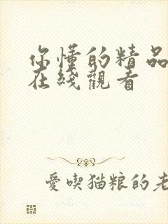 你懂的精品视频在线观看