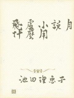 飞卢小说月票有什么用