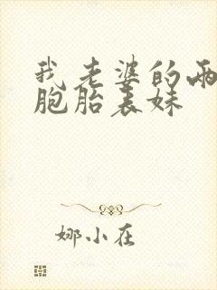 我老婆的两个双胞胎表妹封面