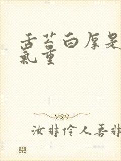 舌苔白厚是有湿气重