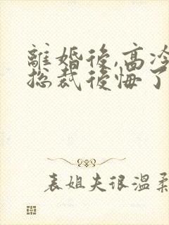 离婚后,高冷女总裁后悔了免费封面