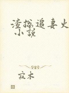 渣总追妻火葬场 小说