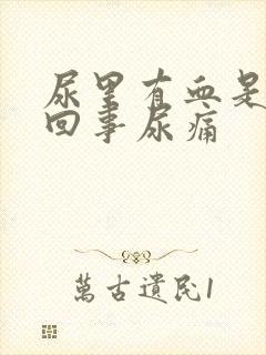 尿里有血是怎么回事尿痛封面