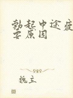 勃起中途疲软主要原因