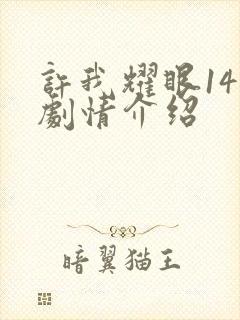 许我耀眼14集剧情介绍