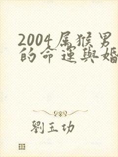 2004属猴男的命运与婚姻