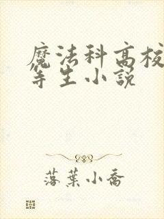 魔法科高校的劣等生小说