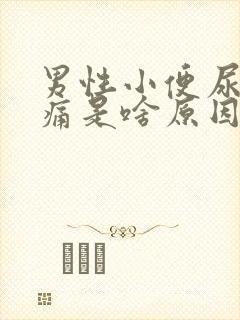 男性小便尿道刺痛是啥原因