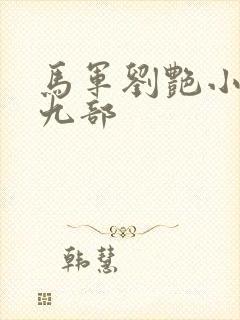 马军刘艳小说第九部封面