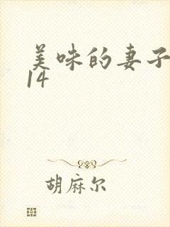 美味的妻子2014
