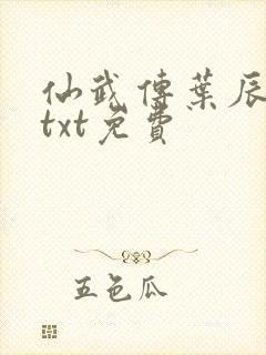 仙武传叶辰全本txt免费封面