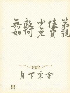 无敌少侠第二季如何免费观看