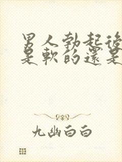 男人勃起后龟头是软的还是硬封面