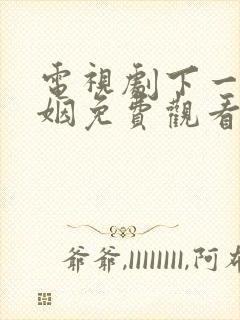 电视剧下一站婚姻免费观看完整版