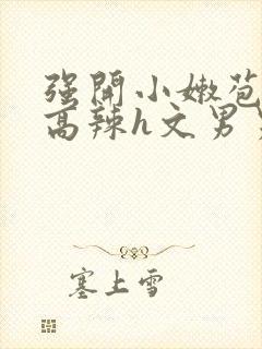 强开小嫩苞h文高辣h文男男封面