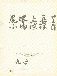 屁眼上长了一个小肉球很痛