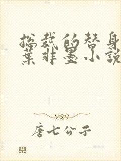 总裁的替身前妻叶非墨小说