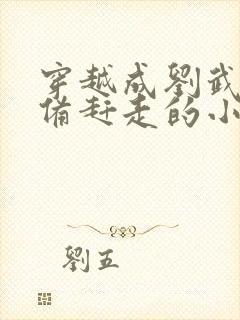 穿越成刘武被刘备赶走的小说