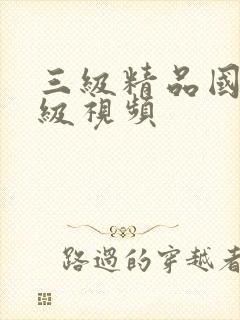 三级精品国产三级视频