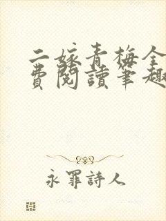 二嫁青梅全文免费阅读笔趣阁